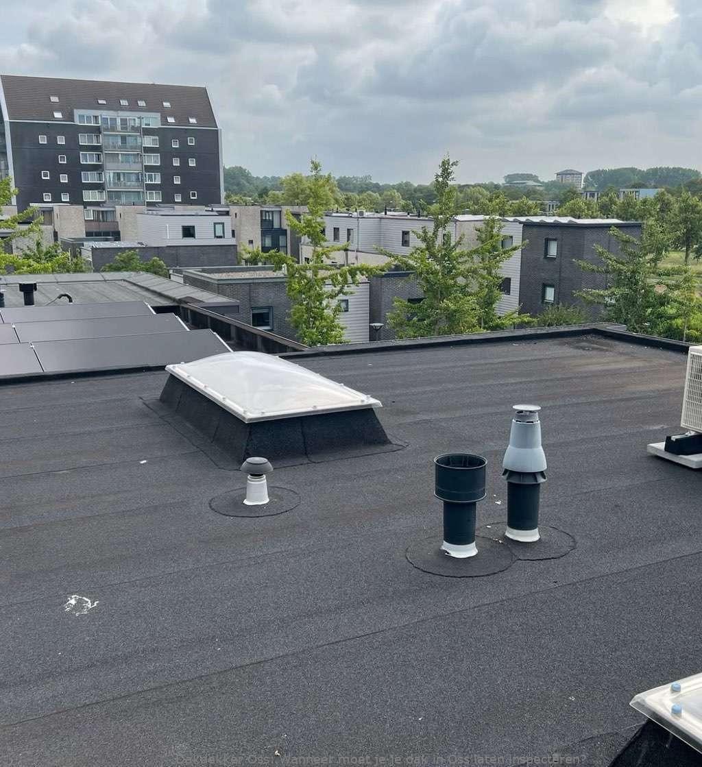Dak Laten Inspecteren Oss