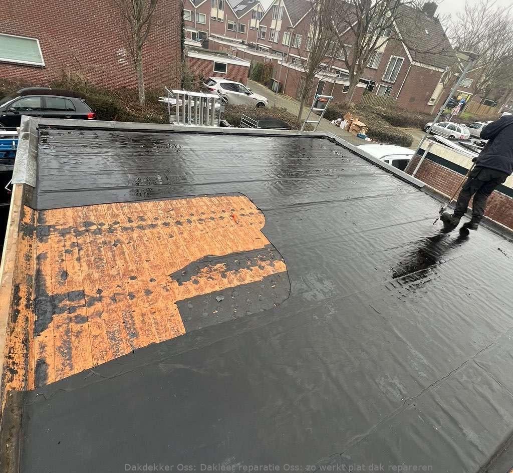 Dakleer Reparatie Oss