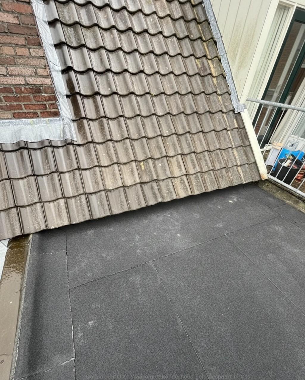 Onderhoud Dak Oss