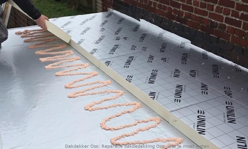 Reparatie Dakbedekking Oss