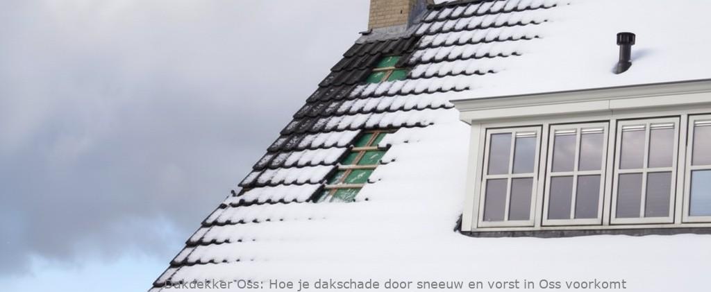 Schade Door Sneeuw En Vorst Oss