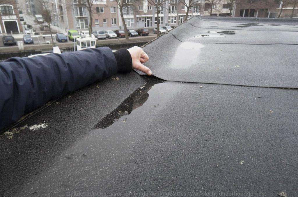 Voorkomen daklekkages Oss: Wat slecht onderhoud je kost